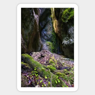 The wonderful Sighistel gorge Sticker